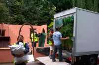 The flowers arrive at the SPANA garden