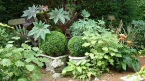 A picture of my garden