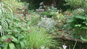 A picture of my garden